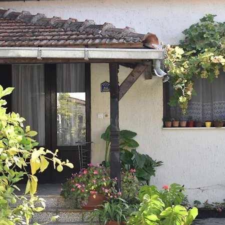 Apartman Nikodijevic Apartment *
